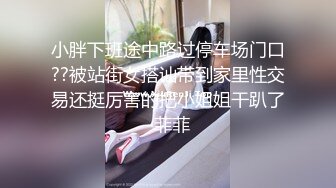 小胖下班途中路过停车场门口??被站街女搭讪带到家里性交易还挺厉害的把小姐姐干趴了-菲菲