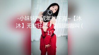 [MP4]麻豆传媒 MD0150-3 疫情下的背德假期 父女篇 艾秋