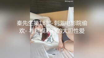 秦先生第18部-刺激电影院偷欢- 与腿模莉莉的大胆性爱