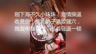 极品露出大神！推特25万粉丝【Flashing】各场所精彩露出甄选，高难度露出挑战 (4)