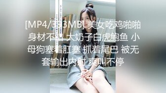 PMX046 空姐AV女優面試 白允兒