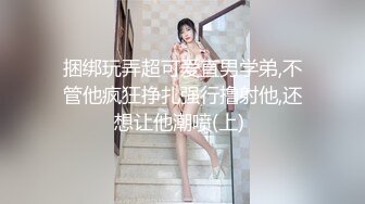 《云盘泄密》漂亮小姐姐和男友之间的私密视讯被曝光