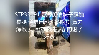 极品反差婊90后白领丽人孙俪琪和自驾游驴友酒店玩SM群