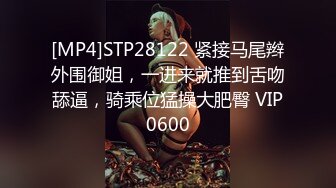 风骚气质女神！随着音乐摇摆！性感吊带黑丝袜，M腿揉搓骚穴，妹妹好想要，跳蛋假屌双管齐下