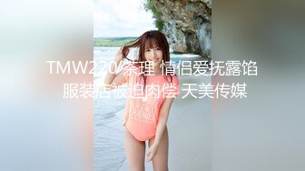 商场女厕全景后拍 格子褂小妹完美的臀型以及下蹲展开的大肥鲍鱼