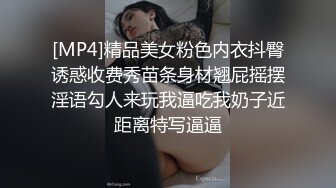 π060电车痴汉_不，这是电车美妇