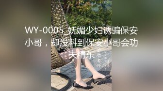 WY-0005_妩媚少妇诱骗保安小哥，却没料到保安小哥会功夫精东