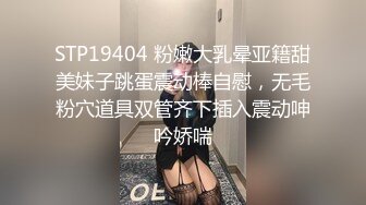 听话的陌友