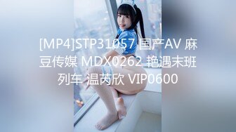 [MP4]STP31057 国产AV 麻豆传媒 MDX0262 艳遇末班列车 温芮欣 VIP0600