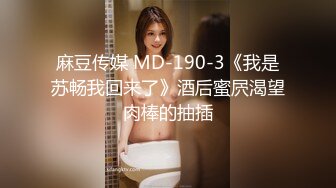 麻豆传媒 MD-190-3《我是苏畅我回来了》酒后蜜屄渴望肉棒的抽插