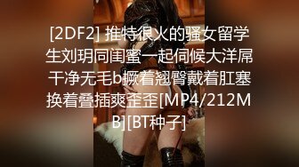 【超顶绿帽大神】91小懒猫调教母狗校花女友甄选珍珠骚丁露出取外卖开肛调教网吧露出3P激战极品M属性女友