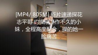 麻豆傳媒)(om-002)(20230105)戰狗-Lilit