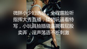 9月新流出 私房大神极品收藏 商场女厕全景后拍系列 打暑期工的红发美眉逼还挺粉嫩的