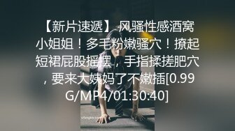 麻豆传媒-台湾第一女优吴梦梦女王的SM调教开发奴性小狼狗