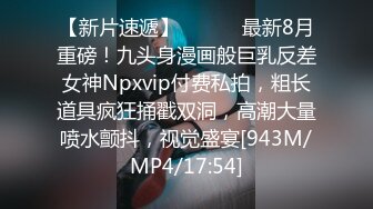 MPG-0139空姐的VIP特别服务