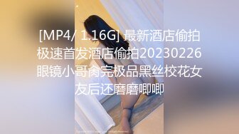 星空传媒 XKVP-127 如愿以偿操到了我的梦中情妇