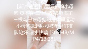 [MP4]全裸盛宴 极品淫叫第三章 在空中被插入的少女《淫叫健身房》双飞版 教练狂肏空中做爱 淫叫声注意音量