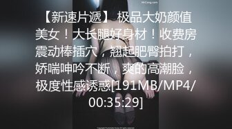 [MP4]麻豆传媒正统新作MD137-窃贼误闯阴道内 E奶贵妇强上傻小贼 巨乳新人钟丽琪