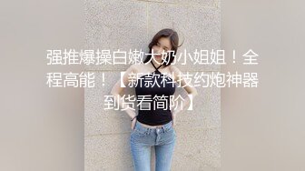 即含即插ＯＫ的绝对领域侍奉女仆