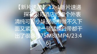 _P站20万粉华裔网黄「北京瑶瑶」「Lonelymeow」OF旅游性爱日记 3P百合爆菊潮吹露出【第九弹】