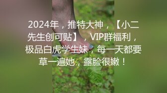 [MP4/ 1.69G] AI高清2K修复壹屌寻花广州大圈，门票138，单日人气王，极品御姐