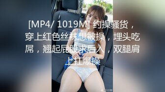 MDX-0143机长偷吃俏空姐-倪哇哇