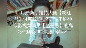 公司小少妇，自带情趣内衣