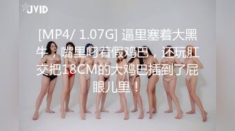 [MP4/ 1.07G] 逼里塞着大黑牛，嘴里叼着假鸡巴，还玩肛交把18CM的大鸡巴插到了屁眼儿里！