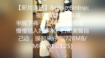 麻豆传媒 MDX0194 女业主出言不逊 男保安上门强操