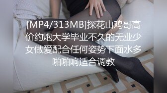 MDHG0016 麻豆传媒 这个面试有点硬 在天桥上的享乐者 言欣恬