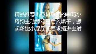 和极品淫荡骚浪女友激情玩车震爆操内射 淫语浪叫