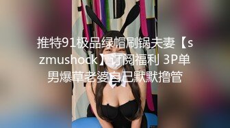 推特91极品绿帽刷锅夫妻【szmushock】订阅福利 3P单男爆草老婆自己默默撸管