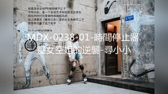 MDX-0238-01-時間停止器.癡女空姐的逆襲-尋小小