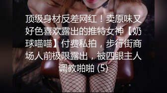 [MP4]糖心出品-女警官的特殊手段 调教玩弄后再操逼